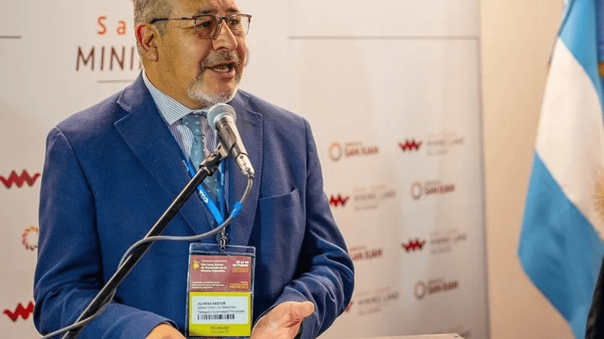 Nuevo apoyo para el juez Sanz en su conflicto con la fiscal Salica: el aporte de un penalista local