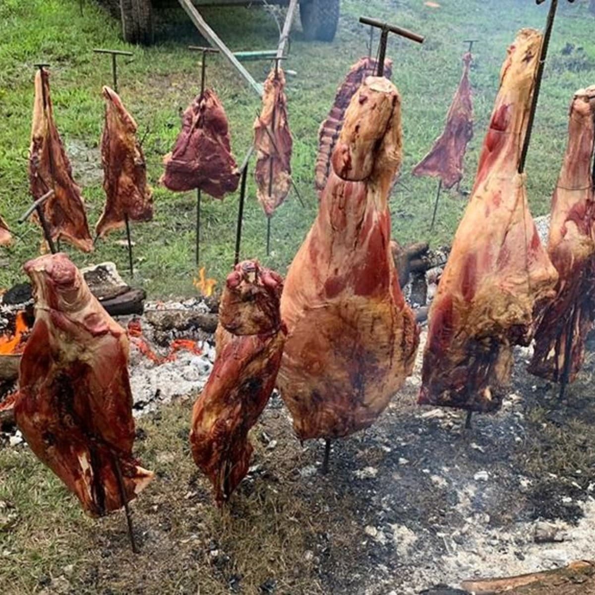 Carne de búfalo: una alternativa más económica y saludable para la comunidad sanjuanina